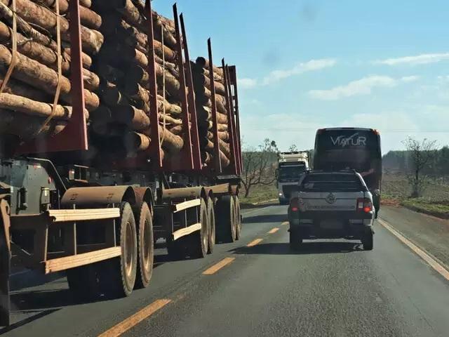 Caminhoneiro tem até dia 28 para renovar exame toxicológico 