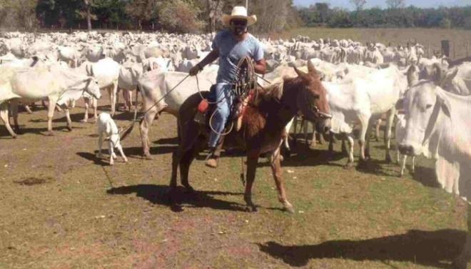 Pecuarista de Mato Grosso do Sul morre engasgado com pedaço carne em festa de casamento Pecuarista de Mato Grosso do Sul morre engasgado com pedaço carne em festa de casamento