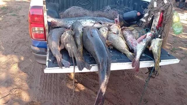 Operação Piracema tem 902 kg de pescado apreendidos e R$ 134 mil em multas 