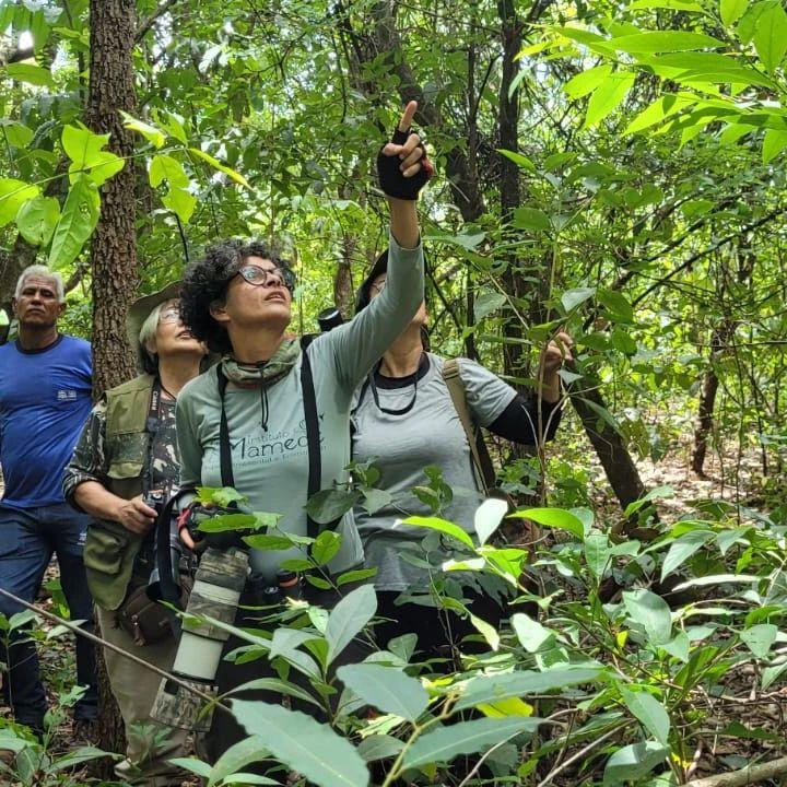 Você sabia que pode ser um observador de pássaros e ajudar a preservar diversas espécies? Você sabia que pode ser um observador de pássaros e ajudar a preservar diversas espécies?