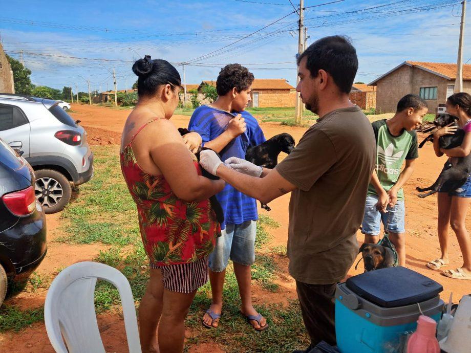 Equipe de ação de combate à Leishmaniose realizou 24 exames em animais da Chácara Eldorado