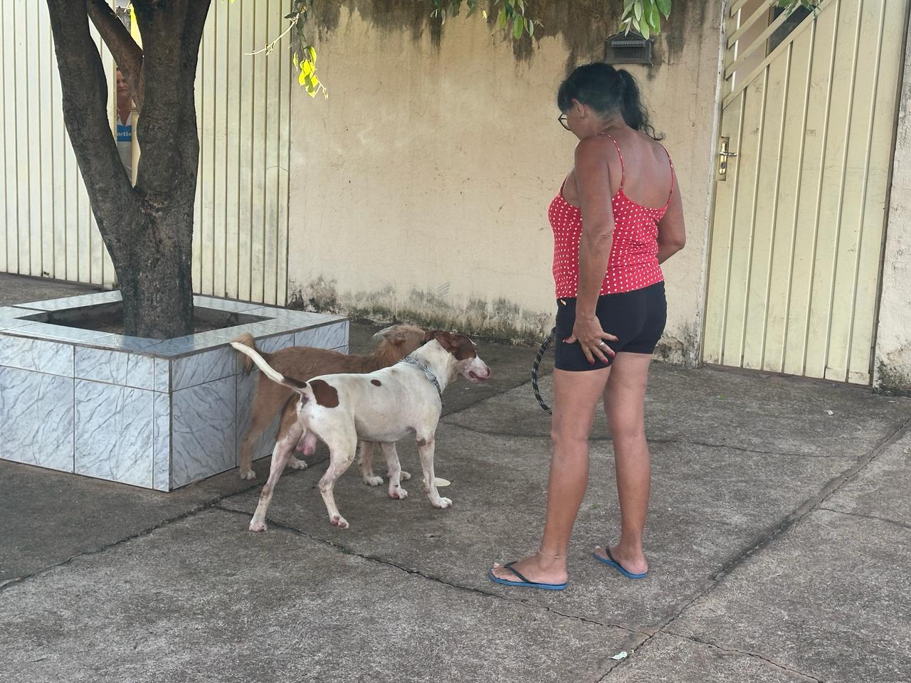“Já tentei doar ele”: Pitbull assusta moradores após atacar cachorros