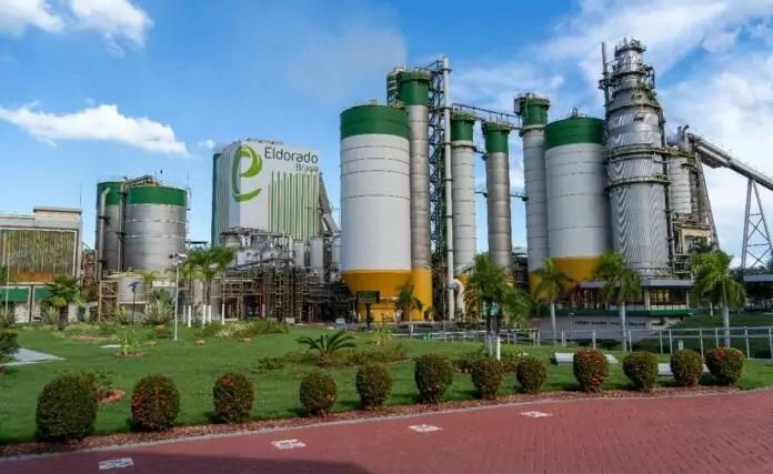 Oportunidade de carreira na Eldorado Brasil: Programa de Jovem Aprendiz abre 50 vagas para Três Lagoas