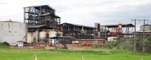 Ossada humana é encontrada em usina abandonada em Sidrolândia 