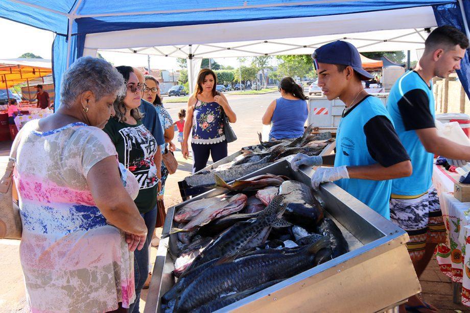 Vem pra Feira – 9º Feira do Peixe começa nessa quinta-feira 28 de março Vem pra Feira – 9º Feira do Peixe começa nessa quinta-feira 28 de março
