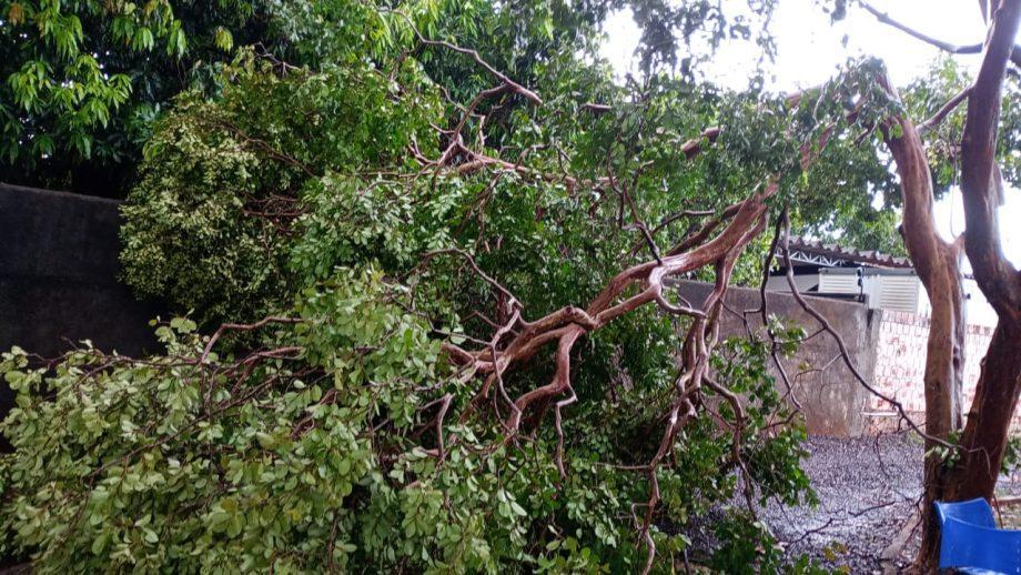 Após forte chuva nesta tarde, equipes da Prefeitura realizam reparos e limpeza