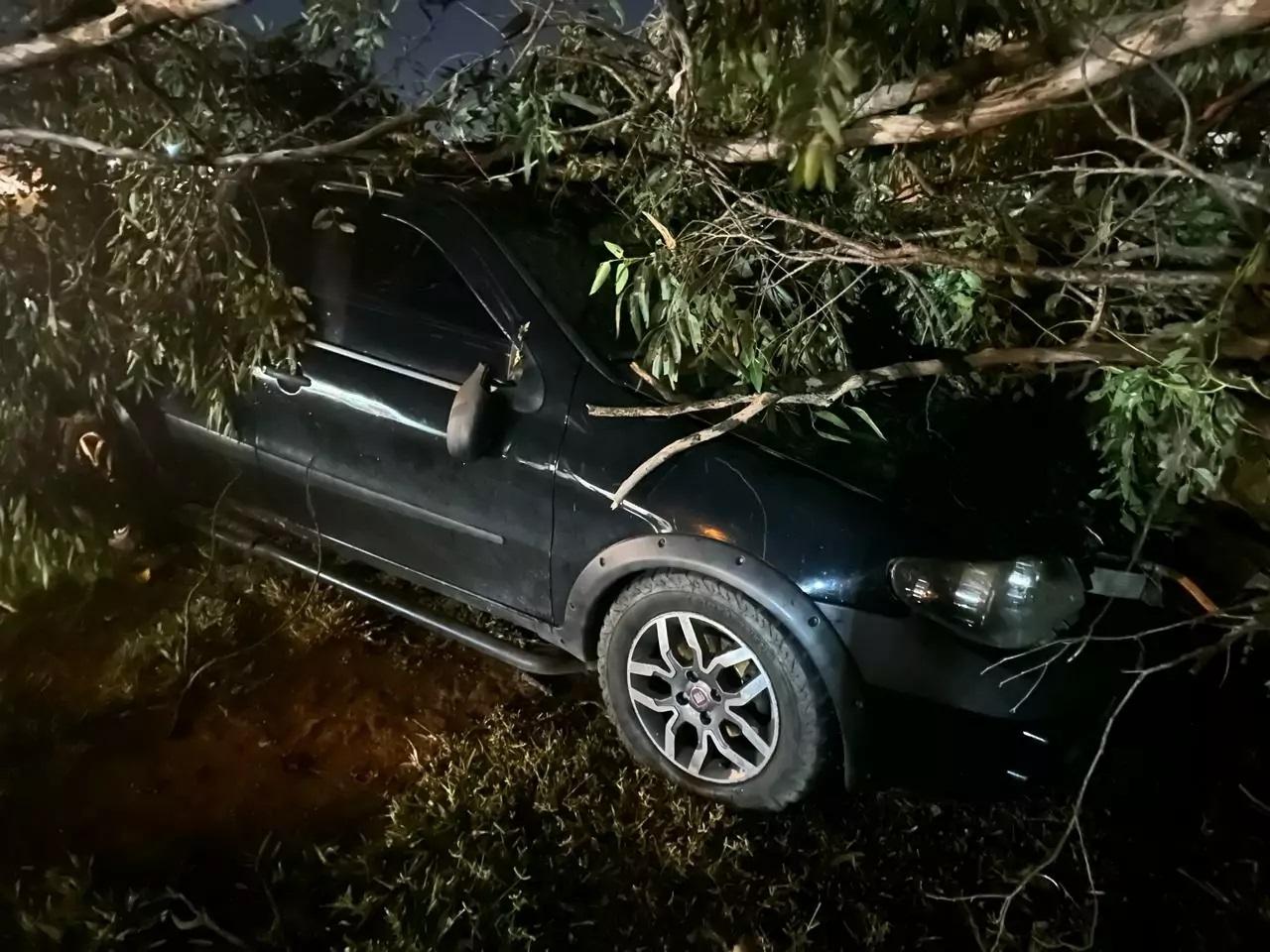 Em 36 minutos, temporal atinge Três Lagoas e deixa moradores do Novo Oeste sem internet Em 36 minutos, temporal atinge Três Lagoas e deixa moradores do Novo Oeste sem internet
