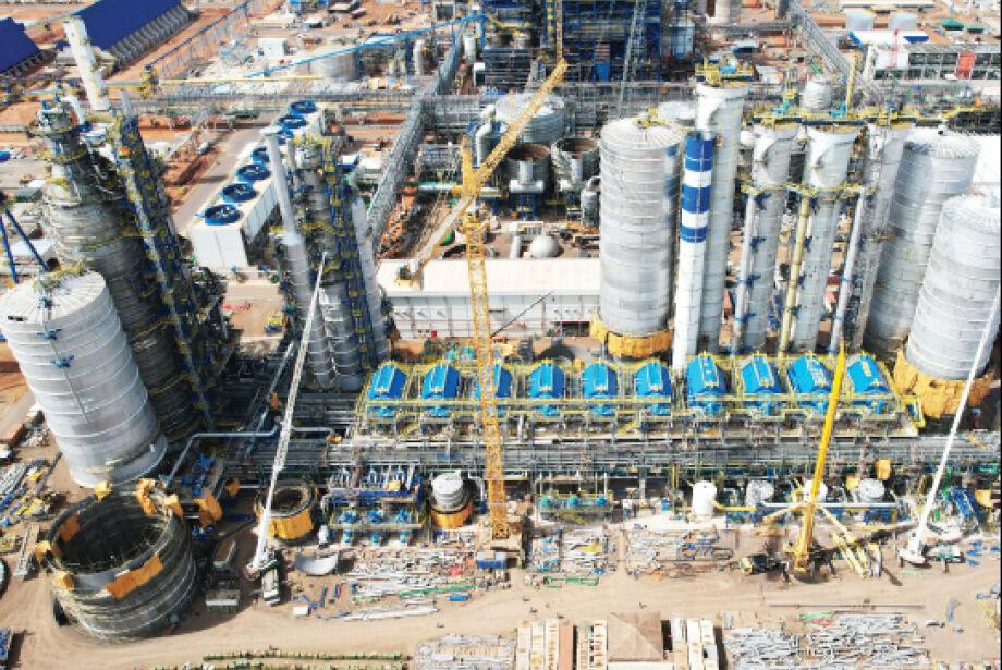 Estado tem espaço para mais três processadoras de celulose Estado tem espaço para mais três processadoras de celulose