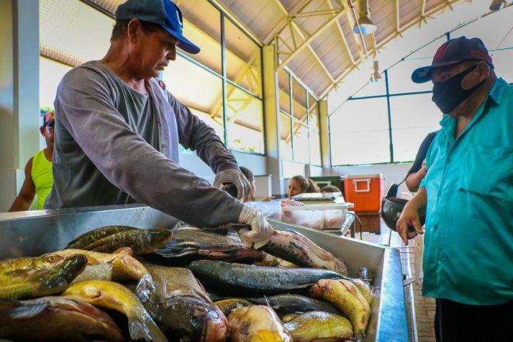Inscrições para a 9ª Feira do Peixe começam segunda-feira (11) Inscrições para a 9ª Feira do Peixe começam segunda-feira (11)