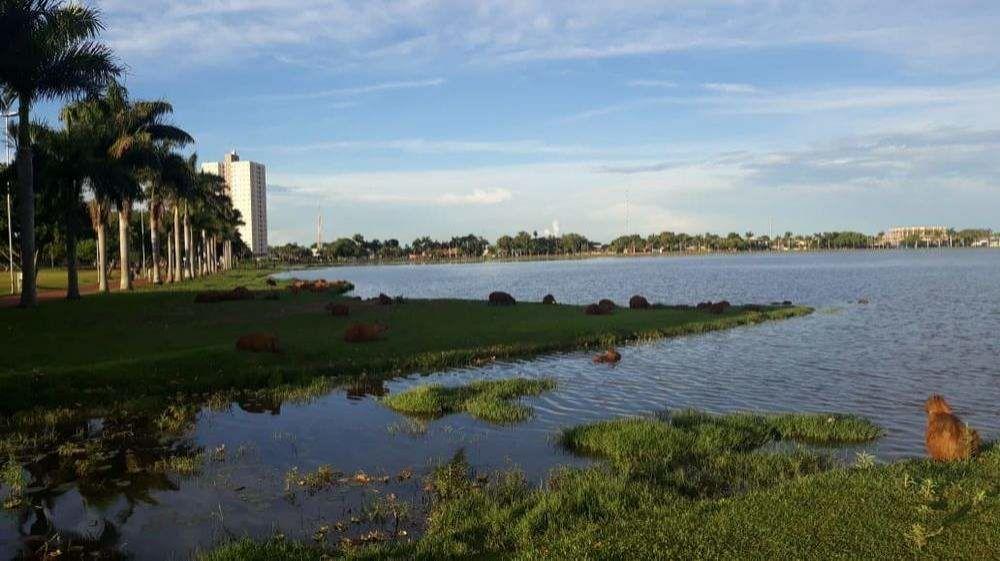 Semana começa com tempo quente e alerta para chuva intensa em MS