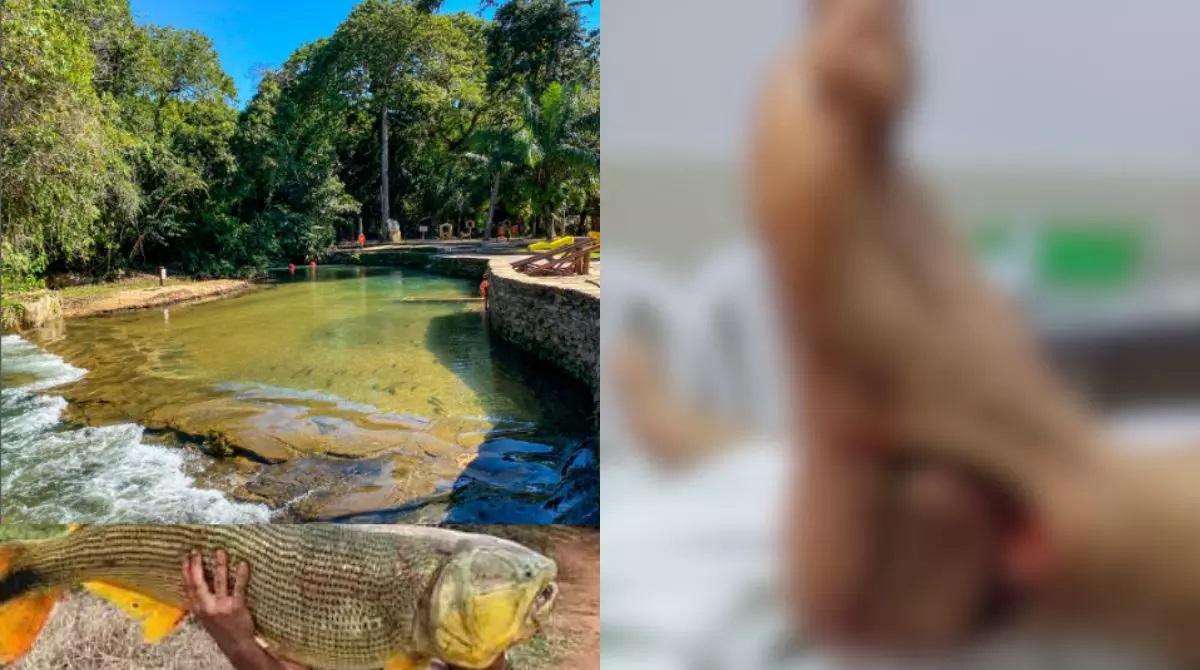 ‘Acontecimento incomum’: Peixe ataca e quase arranca calcanhar de visitante em Balneário de Bonito