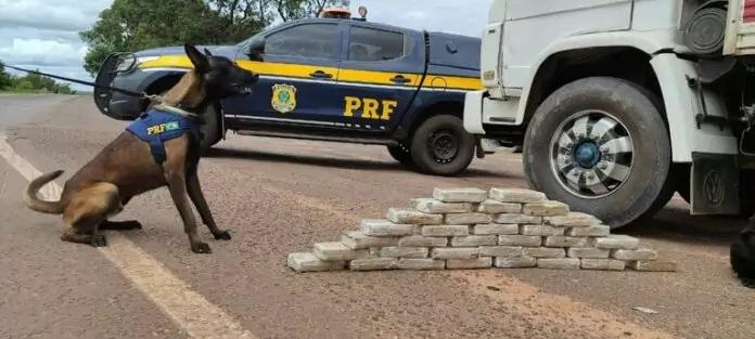 Cocaína escondida em compartimento oculto de caminhão é encontrada pela PRF Cocaína escondida em compartimento oculto de caminhão é encontrada pela PRF