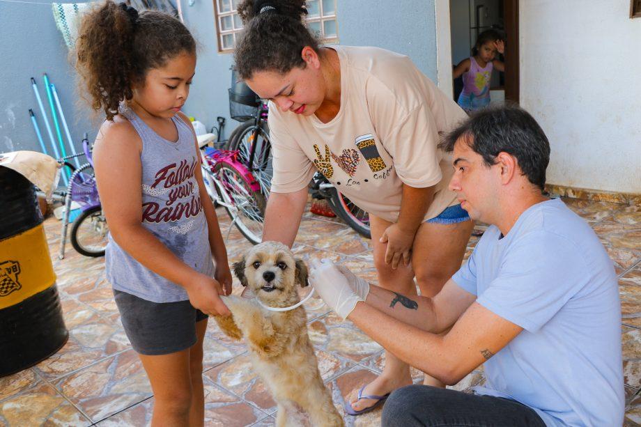 Saúde inicia 4ª etapa do “Encoleira Cão”, pesquisa que visa o combate à Leishmaniose canina Saúde inicia 4ª etapa do “Encoleira Cão”, pesquisa que visa o combate à Leishmaniose canina