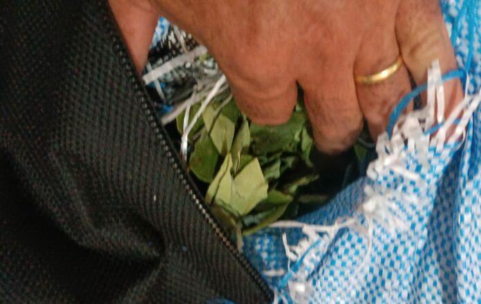 Passageira é presa no Posto Fiscal de Jupiá transportando folhas de coca em malas