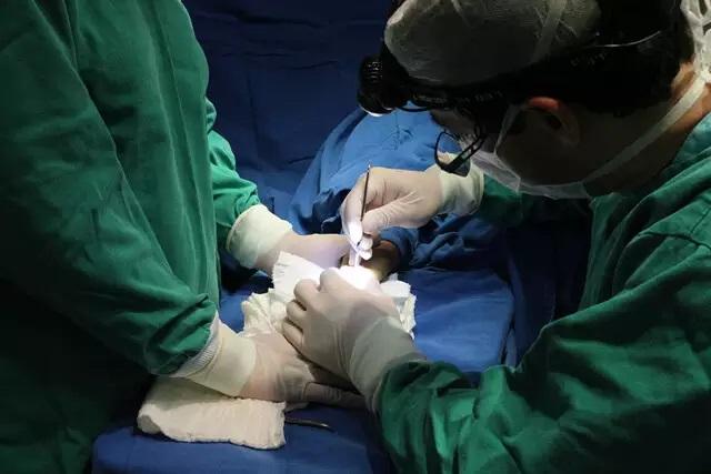 Com cirurgias bariátricas e ortopédicas, mutirão quer chegar a 48 mil pacientes Com cirurgias bariátricas e ortopédicas, mutirão quer chegar a 48 mil pacientes