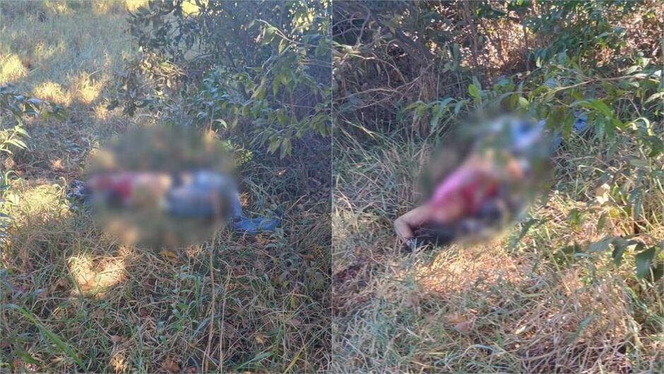 Corpo de mulher é encontrado em área do Porto Seco, em Campo Grande