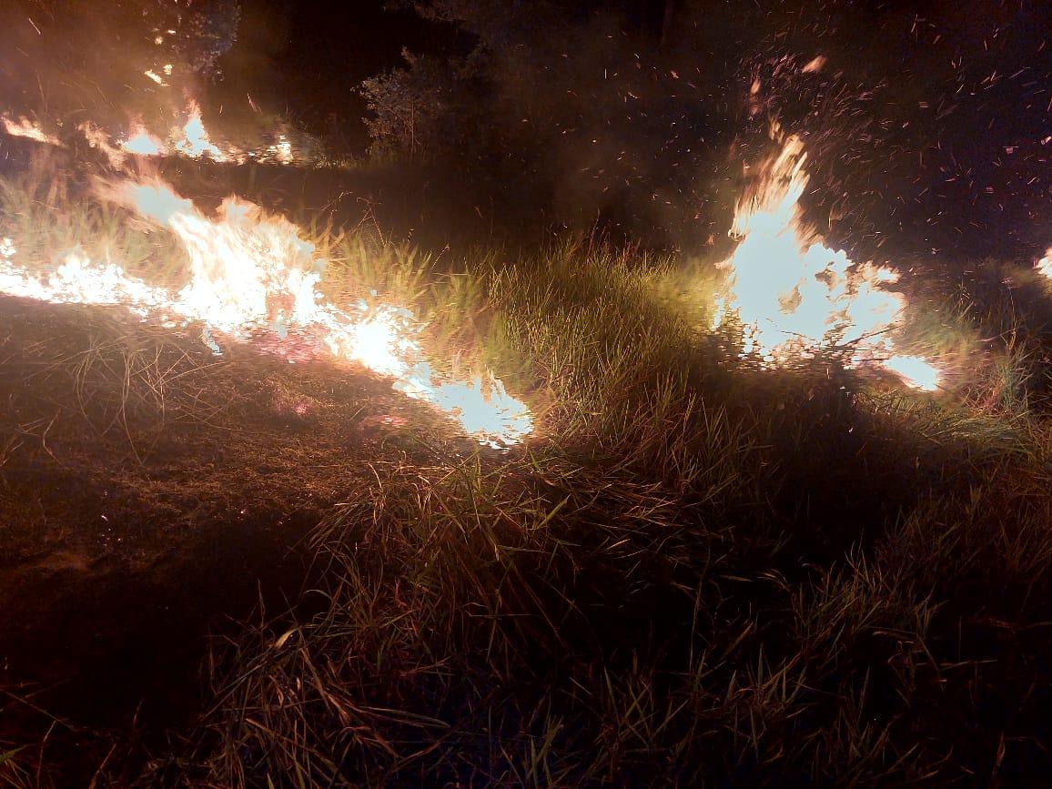 Incêndio atinge reserva florestal da CESP e da Cascalheira em Três Lagoas Incêndio atinge reserva florestal da CESP e da Cascalheira em Três Lagoas