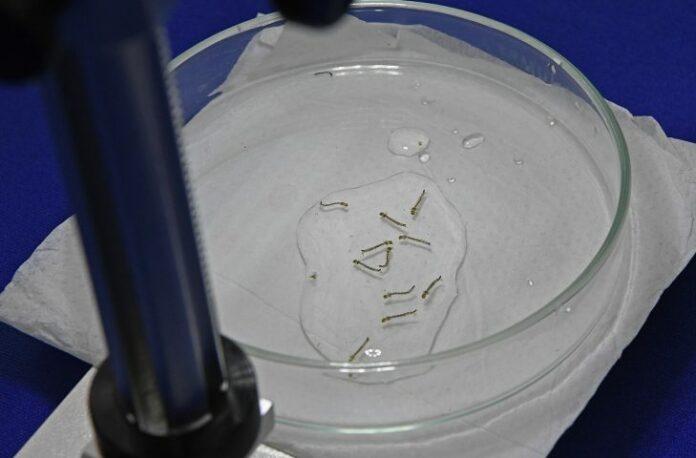 Mato Grosso do Sul registra 9.864 casos confirmados de dengue no ano, segundo boletim