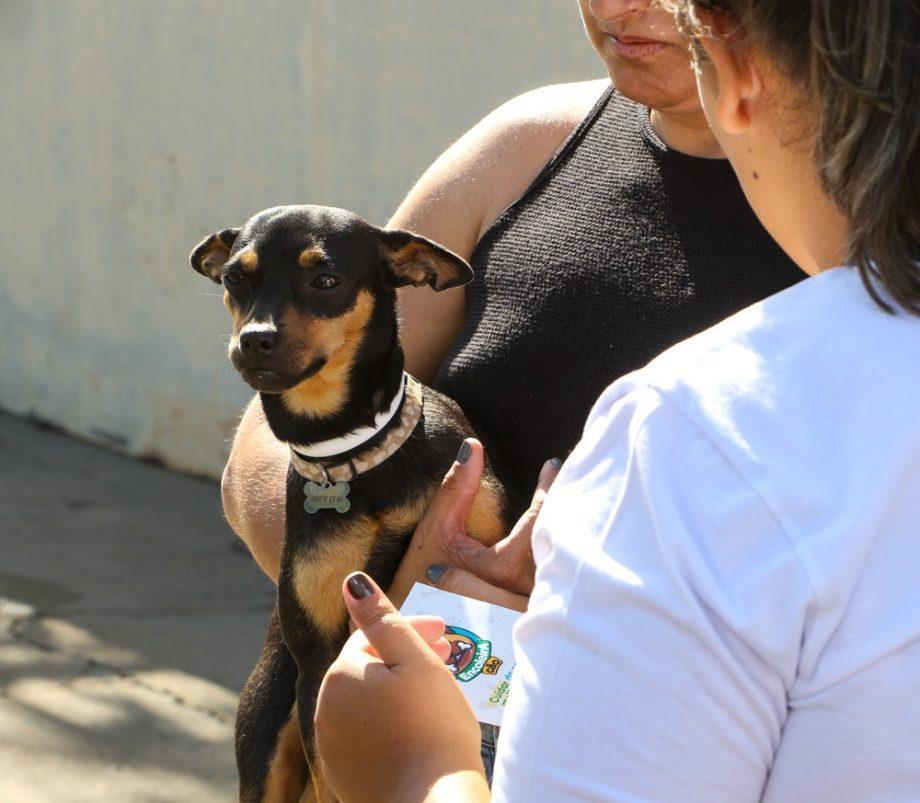PLANTÃO ENCOLEIRA CÃO – SMS realizará ação neste sábado (18), no Bairro Vila Alegre