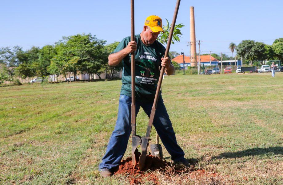 Você sabe como e onde plantar árvores e a maneira de cuidar delas? A SEMEA dá dicas e incentiva o plantio voluntário Você sabe como e onde plantar árvores e a maneira de cuidar delas? A SEMEA dá dicas e incentiva o plantio voluntário