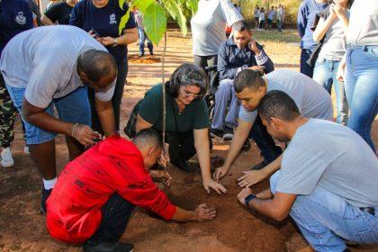 SEMANA DO MEIO AMBIENTE – Alunos da APAE plantam mudas de árvores através do Projeto TL Mais Verde