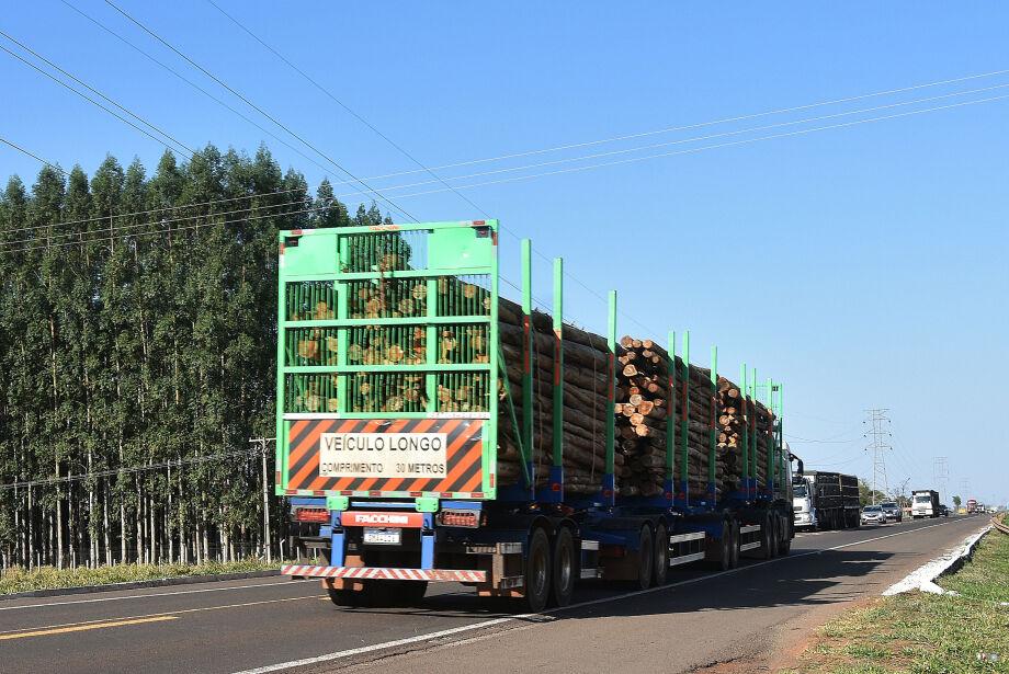 Fábrica de celulose da Arauco superará a da Suzano e será a maior do mundo