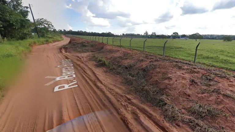 Motociclista se choca com uma vaca e morre