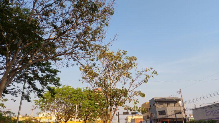 Calor intenso continua em Três Lagoas nesta terça-feira e alerta para temperaturas próximas dos 40ºC Calor intenso continua em Três Lagoas nesta terça-feira e alerta para temperaturas próximas dos 40ºC