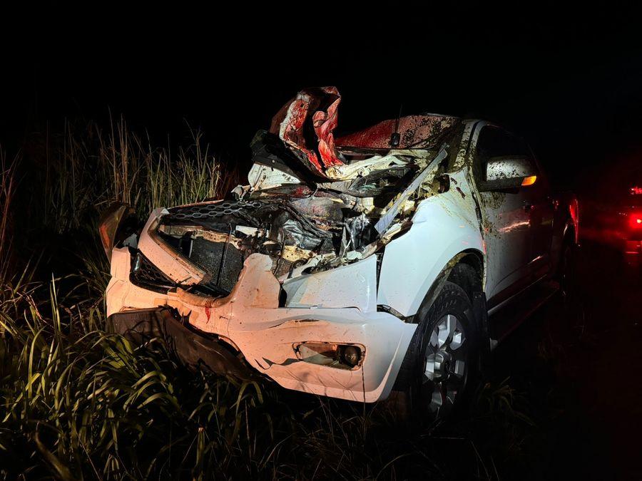 Caminhonete colide em animal na pista na MS-276, região de Batayporã