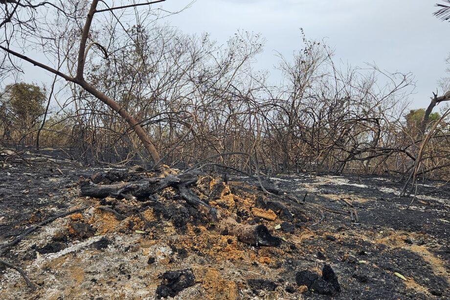 Governo federal triplica valor de multas em casos de incêndios