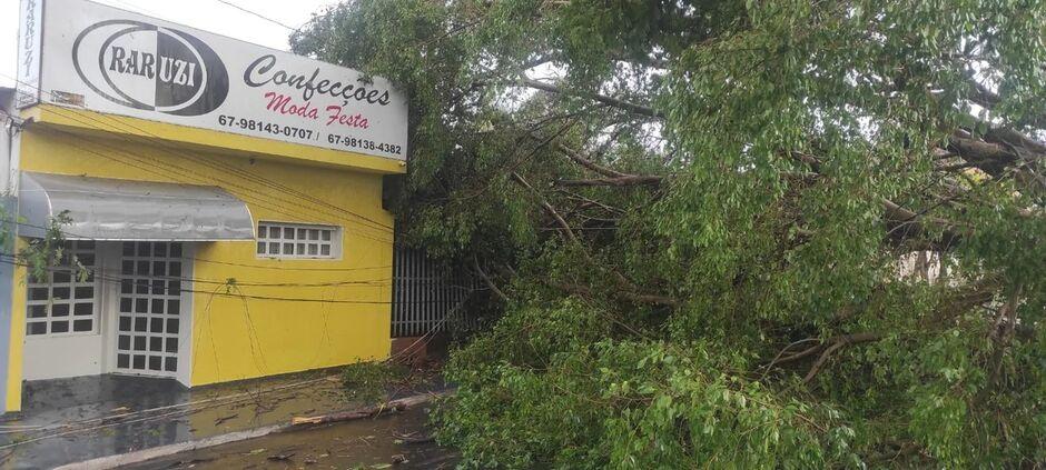 Tempestade chega em Cassilândia e deixa rastro de destruição