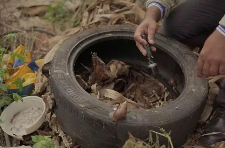 MS registra 15.982 casos confirmados de dengue em novo boletim MS registra 15.982 casos confirmados de dengue em novo boletim