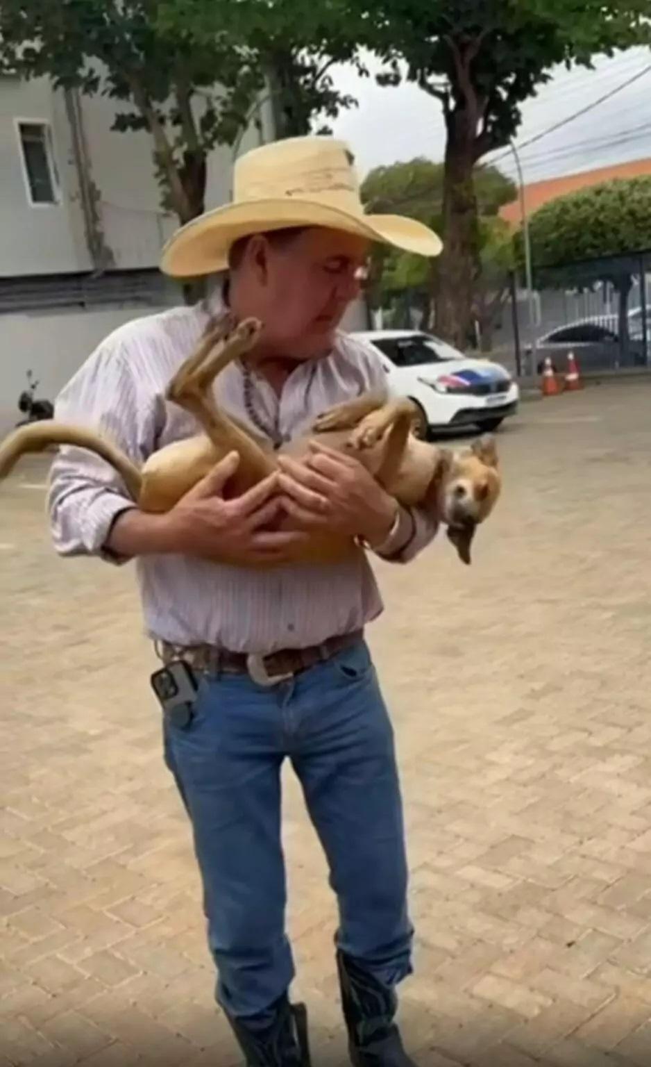 Prefeito Angelo Guerreiro se despede do cargo: futuro das redes sociais, da vida política e do mascote Perigoso fica em aberto Prefeito Angelo Guerreiro se despede do cargo: futuro das redes sociais, da vida política e do mascote Perigoso fica em aberto