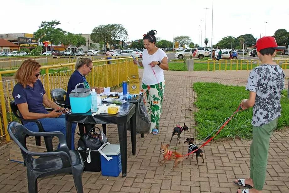 Plantão da vacinação antirrábica ocorre na Feira Central até às 13h deste sábado Plantão da vacinação antirrábica ocorre na Feira Central até às 13h deste sábado