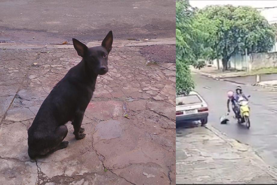 Abandono gravado termina em prisão e multa no interior de MS