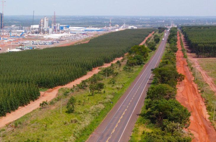 Com projeto robusto, Rota da Celulose tem expectativa de voltar ao mercado no primeiro trimestre de 2025 Com projeto robusto, Rota da Celulose tem expectativa de voltar ao mercado no primeiro trimestre de 2025