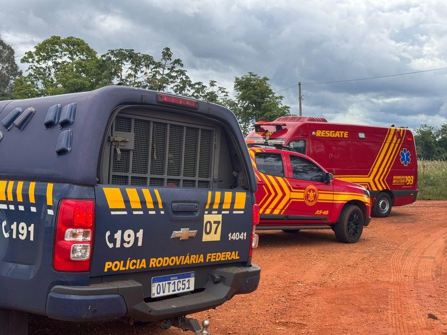 Homem morre após ser atacado por abelhas durante perseguição policial em Nova Andradina
