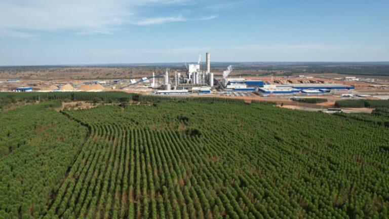Mato Grosso do Sul lidera crescimento econômico no Brasil para 2025