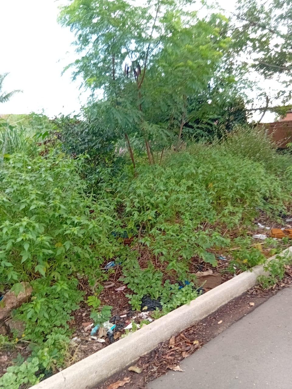 Moradores de Três Lagoas podem denunciar terrenos sujos para garantir mais saúde e segurança Moradores de Três Lagoas podem denunciar terrenos sujos para garantir mais saúde e segurança