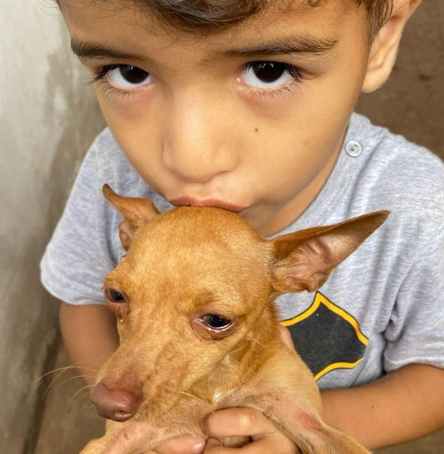 Dominic retorna ao lar: Pinscher foi encontrado e dona agradece o apoio dos três-lagoenses pela ajuda 