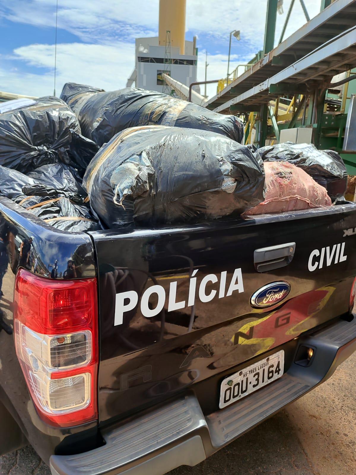 Polícia Civil de Três Lagoas incinera 730 kg de drogas apreendidas em operações contra o tráfico