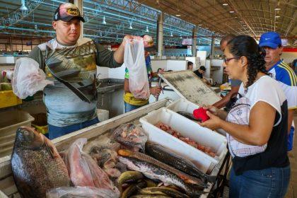 Três Lagoas tem pescado fresquinho e economia garantida nesta quinta com a 10ª Feira do Peixe – das 6h às 18h Três Lagoas tem pescado fresquinho e economia garantida nesta quinta com a 10ª Feira do Peixe – das 6h às 18h