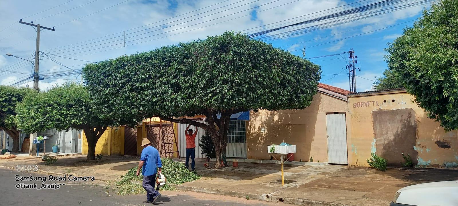 Quer deixar seu jardim impecável? Franklin Araújo é o jardineiro que você procura em Três Lagoas