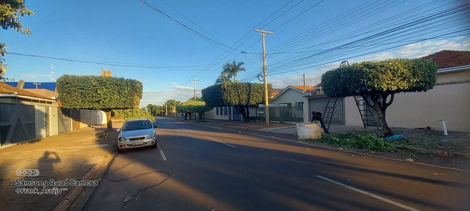 Deixe seu jardim impecável: Franklin Araújo é a escolha certa em Três Lagoas