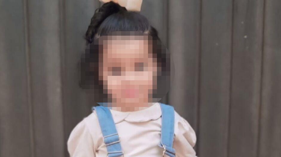 Menina de 2 anos morre 9 dias após passar mal em aniversário em Paraíso das Águas