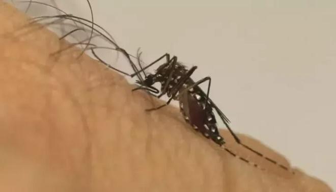 Morador de Água Clara, homem de 58 anos morre vítima de dengue e número de óbitos chega a 12 em MS Morador de Água Clara, homem de 58 anos morre vítima de dengue e número de óbitos chega a 12 em MS