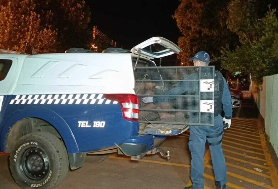 Justiça libera acusada de matar homem e suspende internação compulsória em Dourados Justiça libera acusada de matar homem e suspende internação compulsória em Dourados