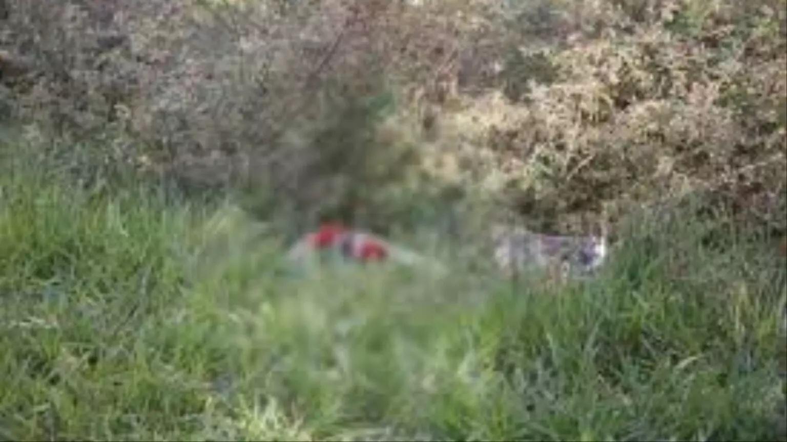 Homem é assassinado com facada no pescoço e corpo desovado em meio a matagal em Campo Grande