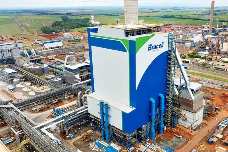 MS pode ganhar nova fábrica de celulose da Bracell e se consolidar como potência global no setor MS pode ganhar nova fábrica de celulose da Bracell e se consolidar como potência global no setor