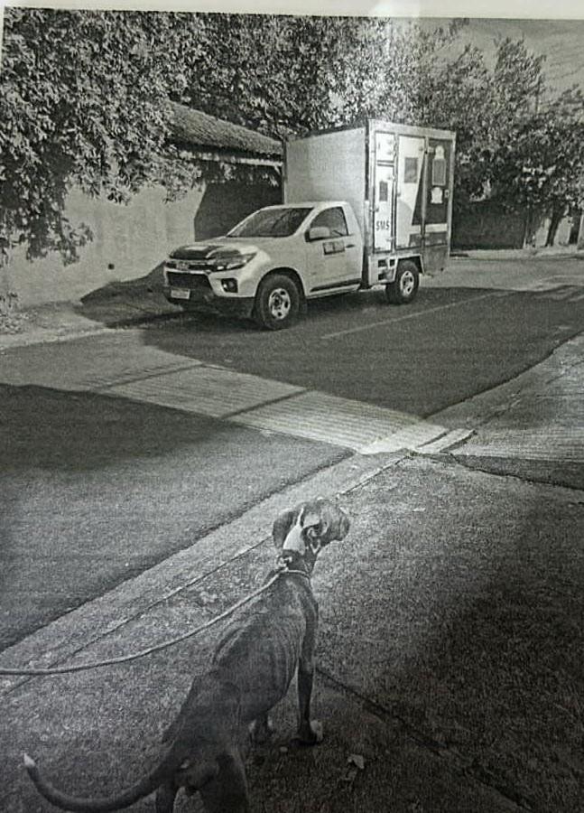 Após maus-tratos contra Pit Bull, tutor é preso no bairro Santa Luzia em Três Lagoas